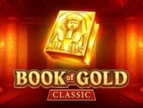 fortune touro demo