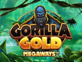 bet king com